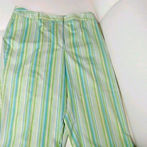TALBOTS Striped Stretch Flat Front Straight Leg Pants - Picture 2 of 9